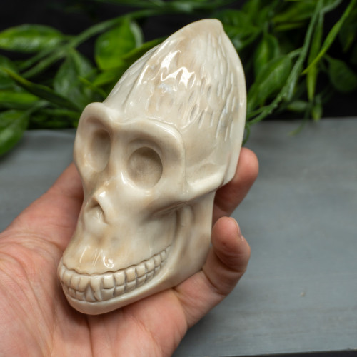 White Jade Monkey Skull