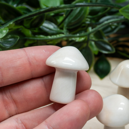 Random White Jade Mushroom