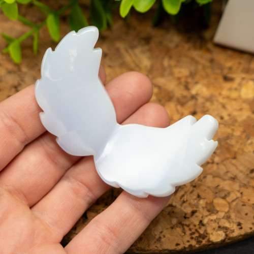 Random Blue Chalcedony Wings