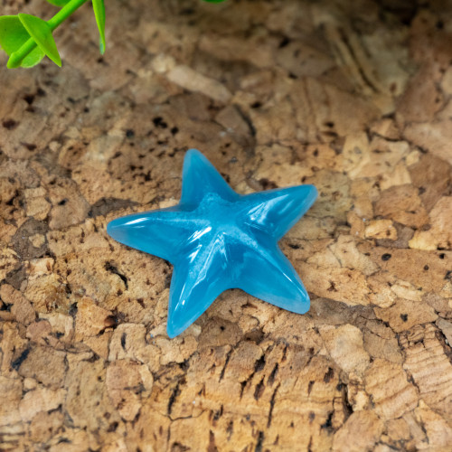 Random Blue Onyx Star Fish