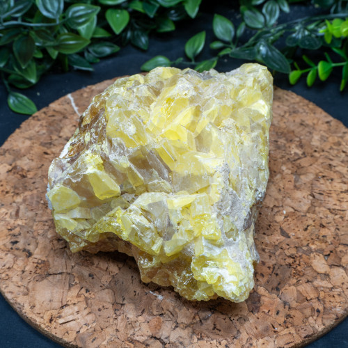 XL Yellow Sulfur #4