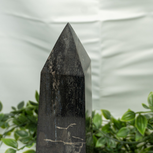 XL Petrified Wood Obelisk #1