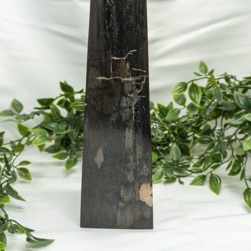 XL Petrified Wood Obelisk #1