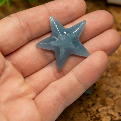 Random Blue Onyx Star Fish