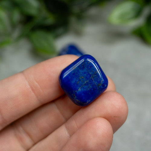 Small A+ Lapis Lazuli Tumbled