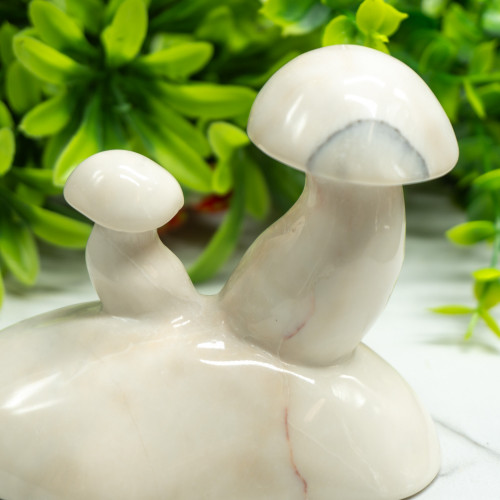 White Jade Double Mushroom