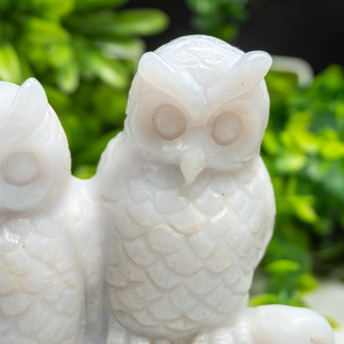 Double Blue Chalcedony Owl