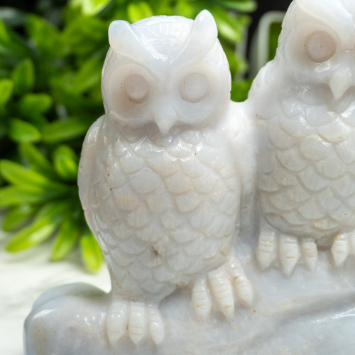 Double Blue Chalcedony Owl