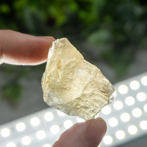 Libyan Desert Glass #5