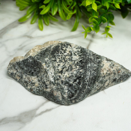 Orbicular Granite #1