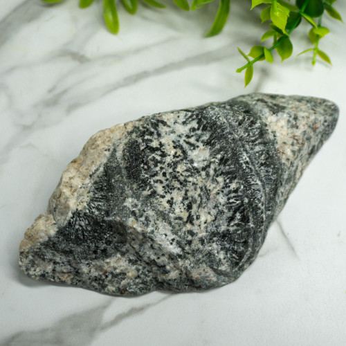 Orbicular Granite #1
