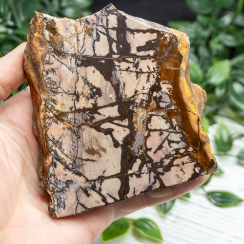 Outback Jasper Slab #3