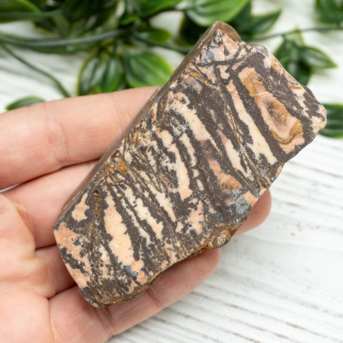 Outback Jasper Slab #2