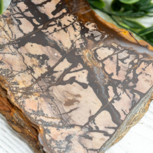 Outback Jasper Slab #3