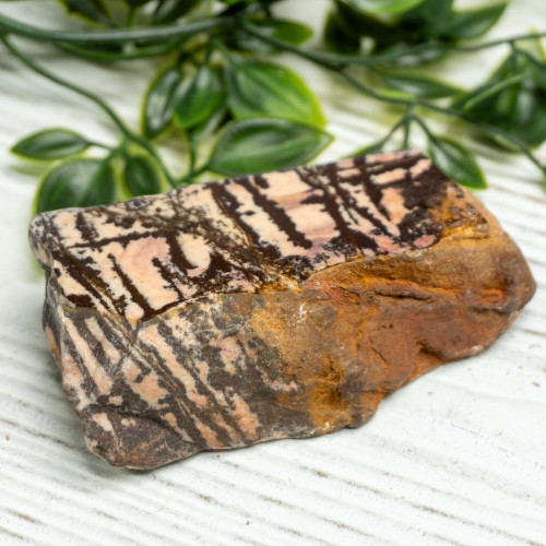 Outback Jasper Slab #2