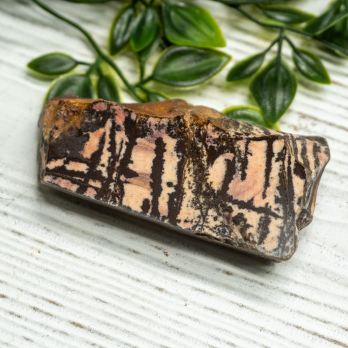 Outback Jasper Slab #2