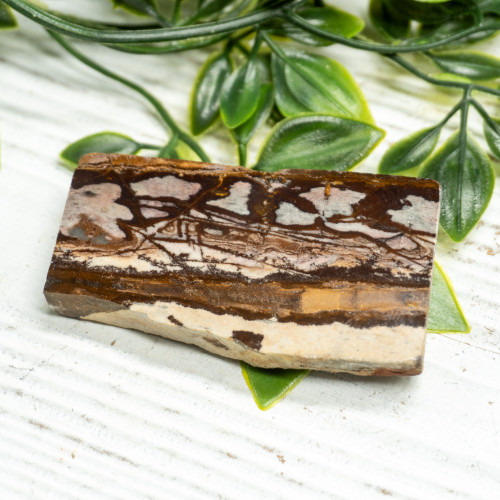 Outback Jasper Slab #1