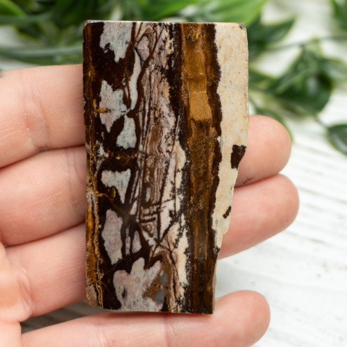 Outback Jasper Slab #1