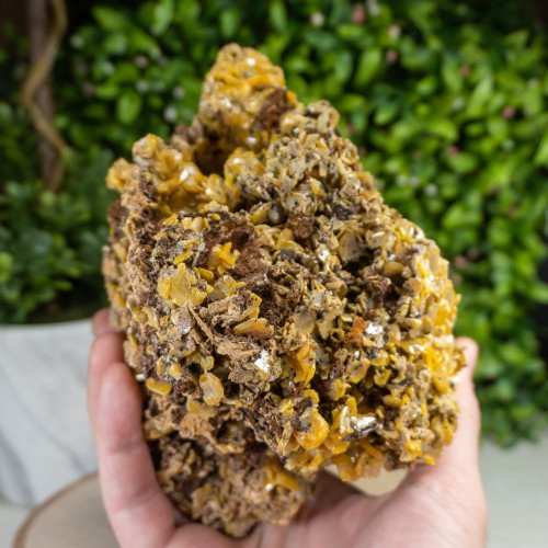 XL Wulfenite on Matrix