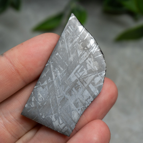 Seymchan Meteorite #1