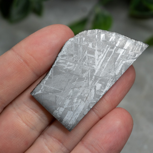 Seymchan Meteorite #1
