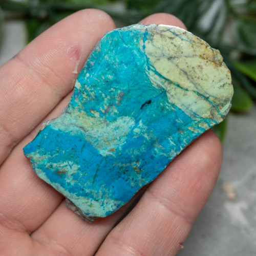 Chrysocolla Slab #8