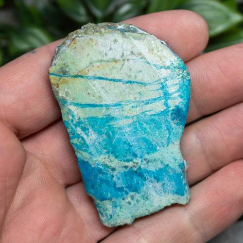 Chrysocolla Slab #8