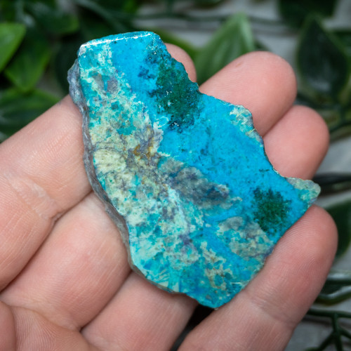 Chrysocolla Slab #5