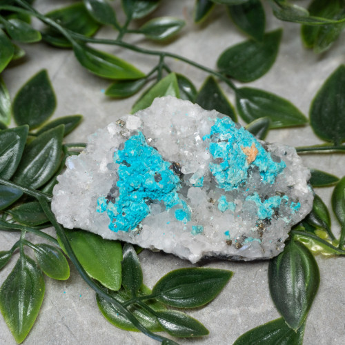 Large Turquoise on Quartz #4