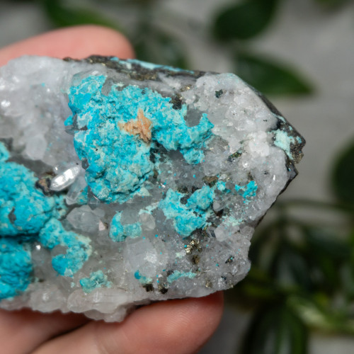 Large Turquoise on Quartz #4