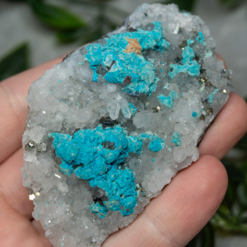 Large Turquoise on Quartz #4