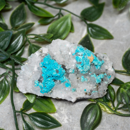 Large Turquoise on Quartz #4