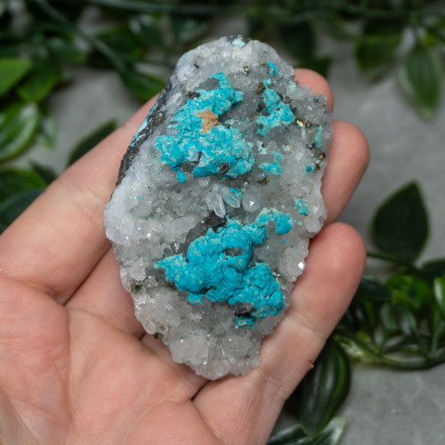 Large Turquoise on Quartz #4