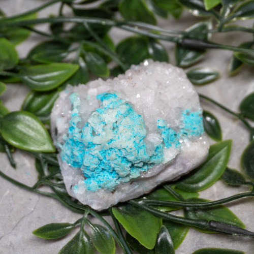 Large Turquoise on Quartz #3