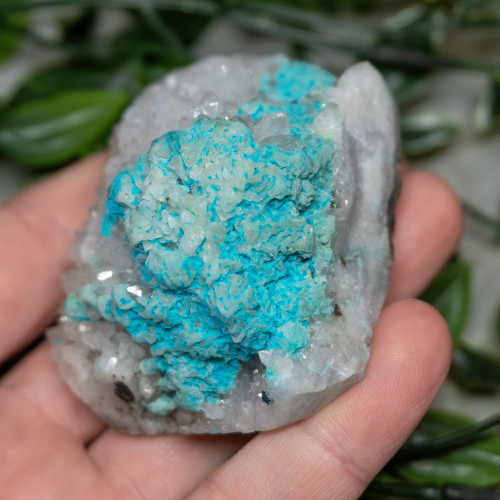 Large Turquoise on Quartz #3