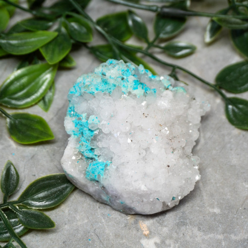 Large Turquoise on Quartz #3