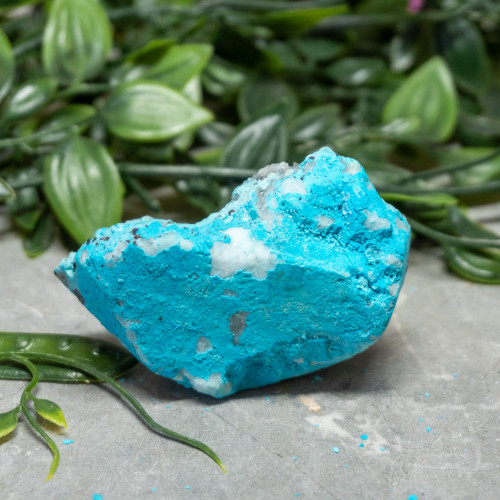 Large Turquoise on Quartz #2