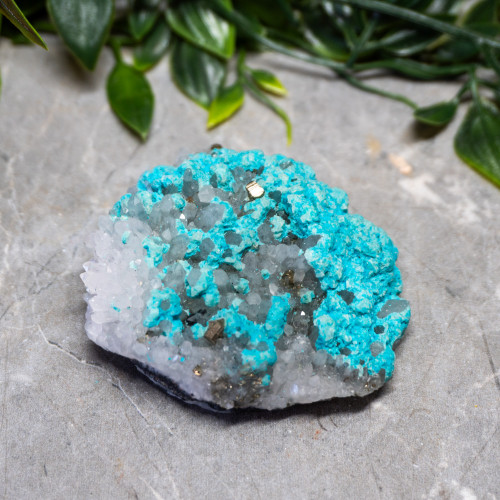 Large Turquoise on Quartz #1