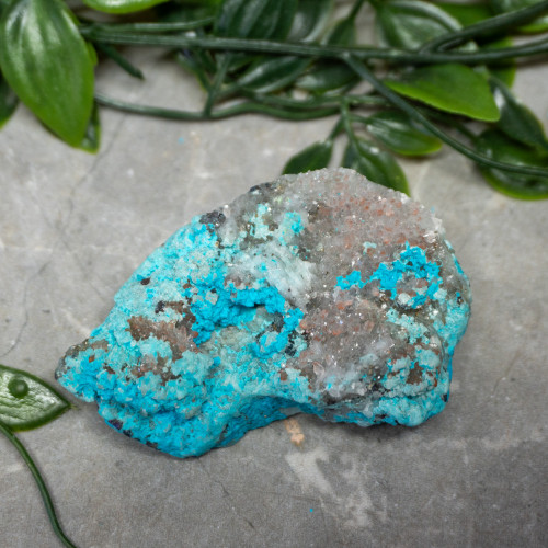 Large Turquoise on Quartz #2