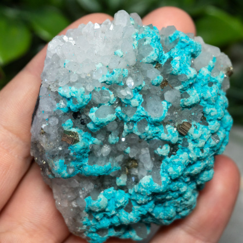 Large Turquoise on Quartz #1