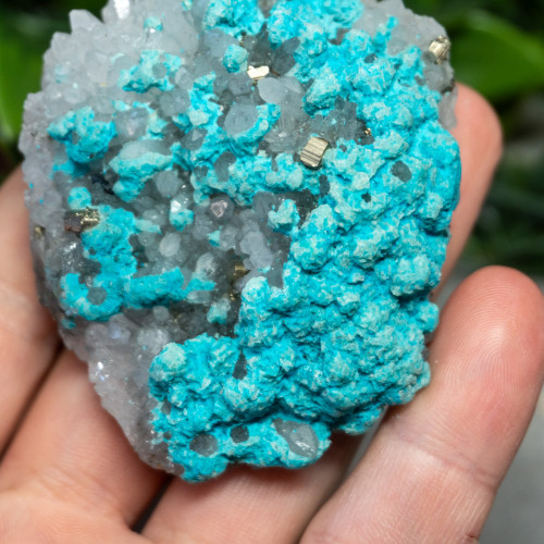 Large Turquoise on Quartz #1