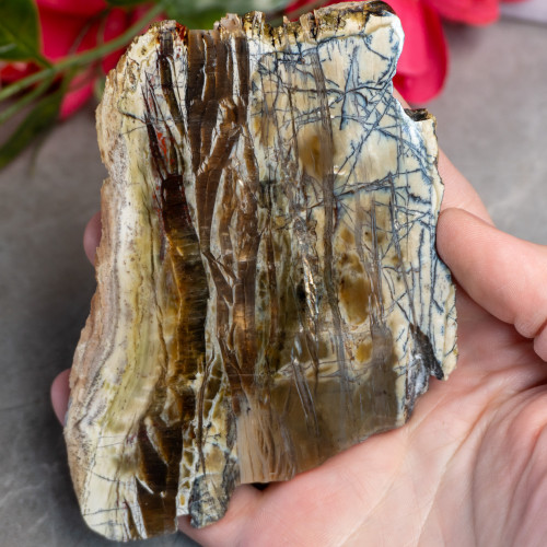 XL Arizona Pietersite Slice #1