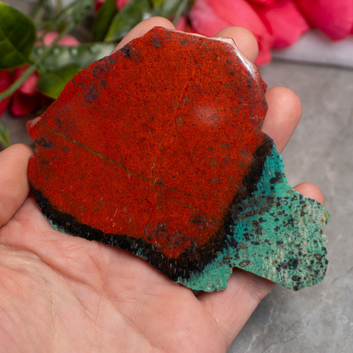 XL Sonora Sunrise Slice #1