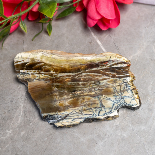 XL Arizona Pietersite Slice #1