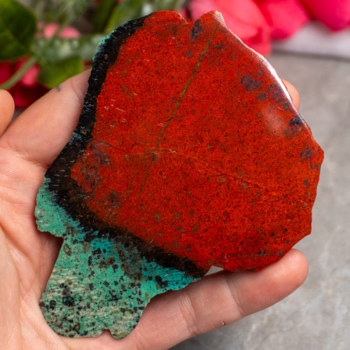 XL Sonora Sunrise Slice #1