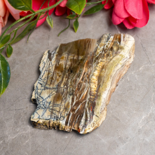 XL Arizona Pietersite Slice #1