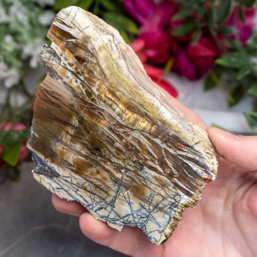 XL Arizona Pietersite Slice #1