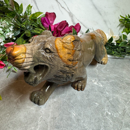 Polychrome Jasper Wolf