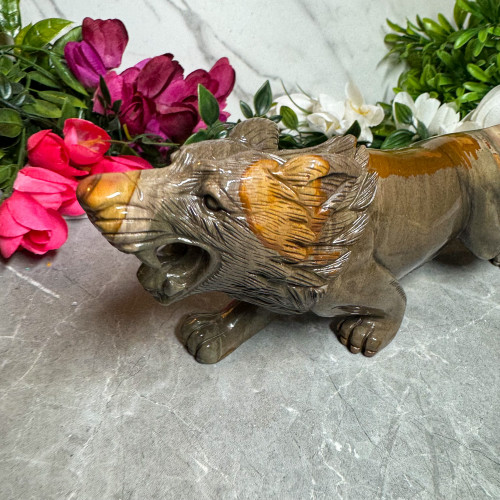 Polychrome Jasper Wolf