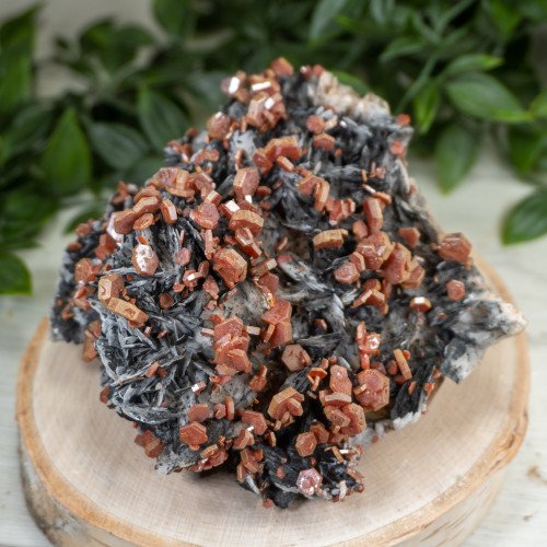 Large Vanadinite over Black Barite